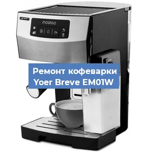 Чистка кофемашины Yoer Breve EM01W от кофейных масел в Москве